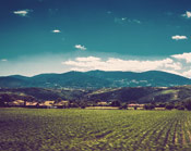 轰炸电话号码网站